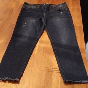 Democracy Stretch Abtechnology Jean